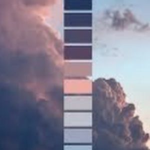 Meet your Posher, Cheyenne